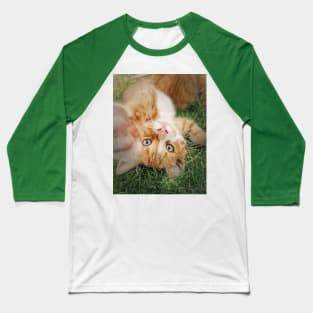 orange kitten lying upside down Baseball T-Shirt